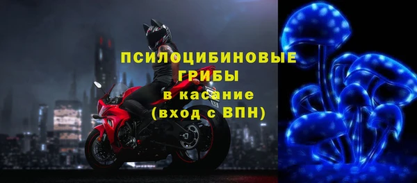 мдма Богородицк