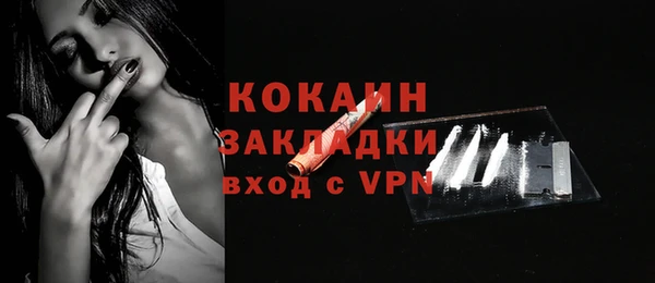 ешки Бородино
