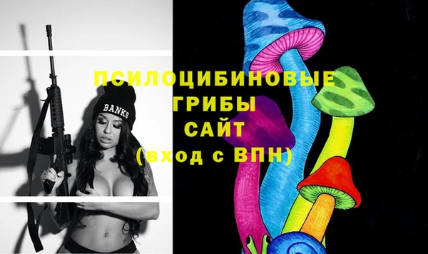 COCAINE Богородск